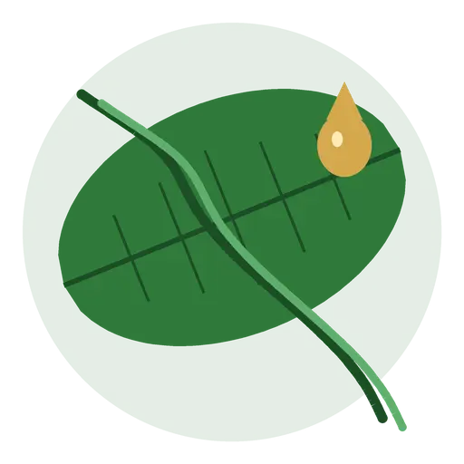 Naturally nourished hair care results icon for organic oil